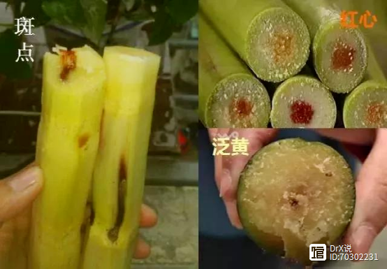 马上停止吃这种水果，含致命毒素，现在正大量上市，很多人还爱吃