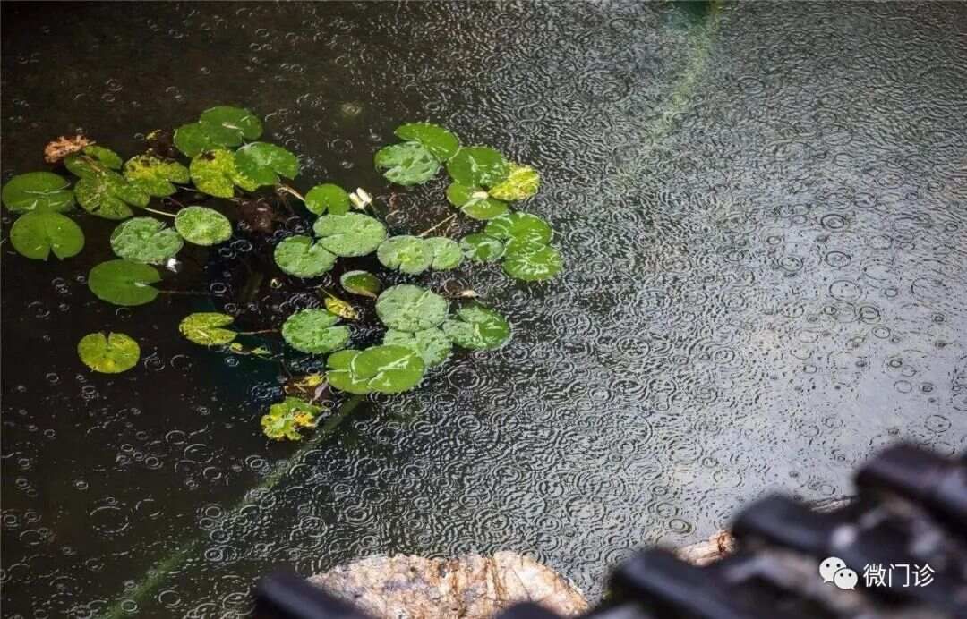 一张方，腿壮如虎！千年壮腿方，化解腿软、腿酸，腿没劲儿