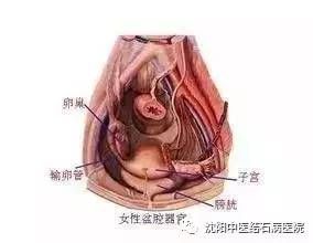 体检查出这9种病，千万别自己吓自己 !