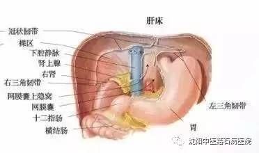 体检查出这9种病，千万别自己吓自己 !