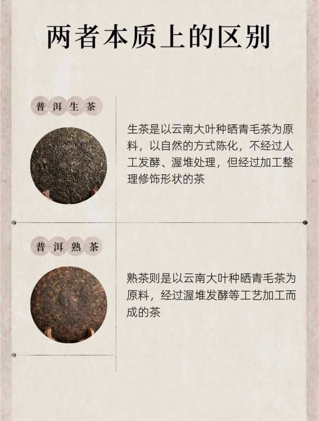 普洱的生茶与熟茶区别!一文弄懂生普与熟普