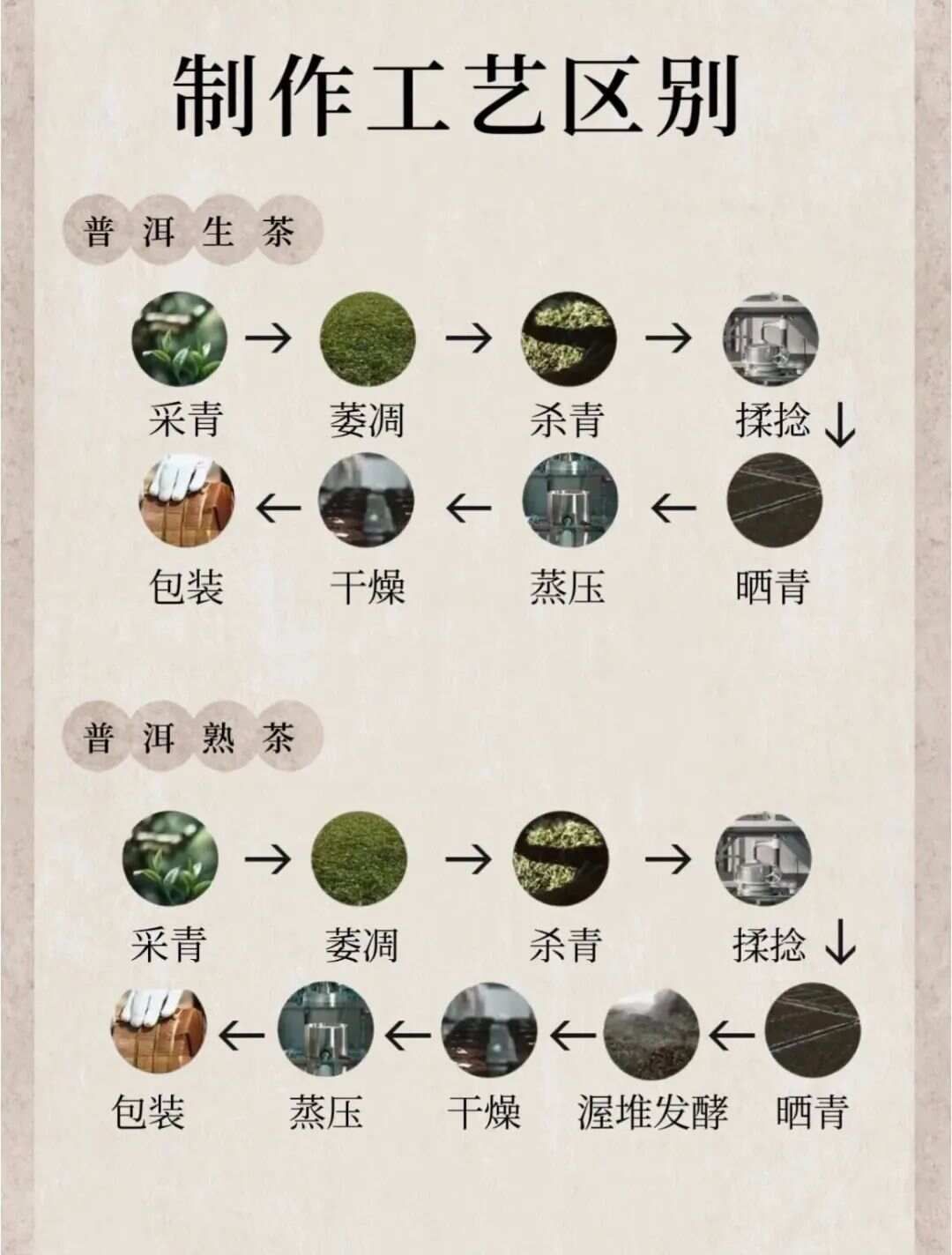 普洱的生茶与熟茶区别!一文弄懂生普与熟普