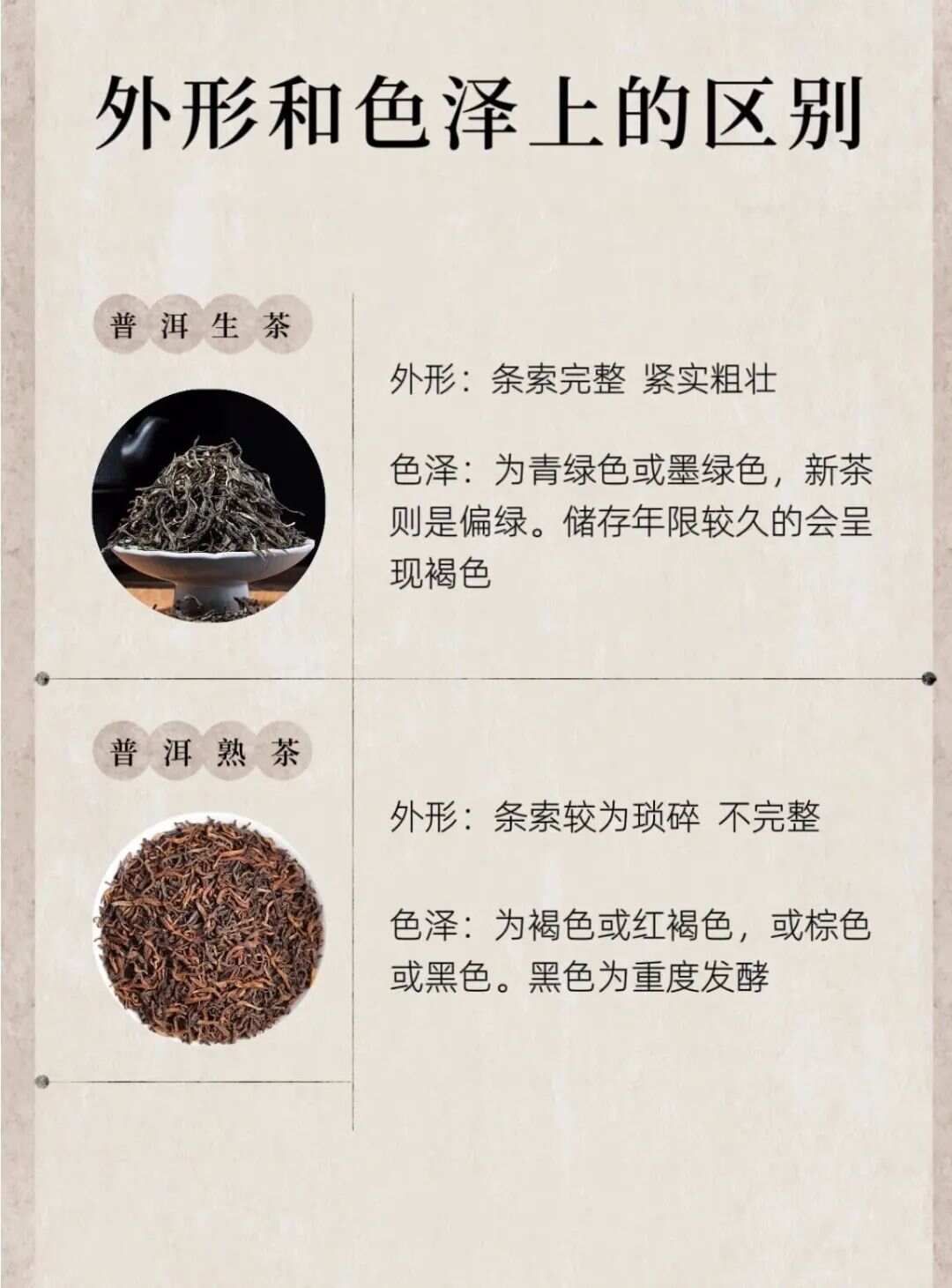 普洱的生茶与熟茶区别!一文弄懂生普与熟普