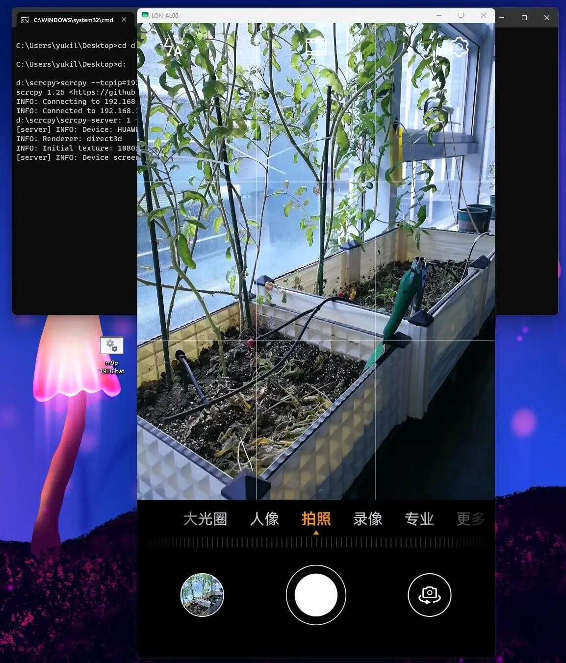 win下Android开源投屏工具