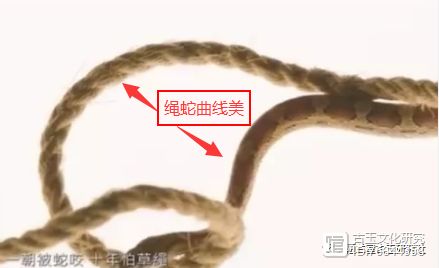 古玉纹样鉴定（古玉螭龙纹）古玉螭虎纹