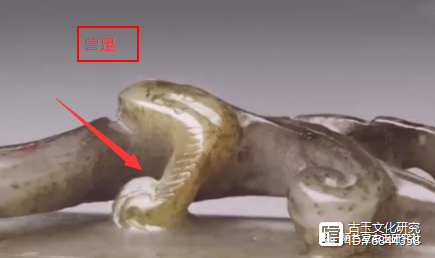 古玉纹样鉴定（古玉螭龙纹）古玉螭虎纹