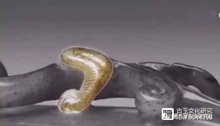 古玉纹样鉴定（古玉螭龙纹）古玉螭虎纹