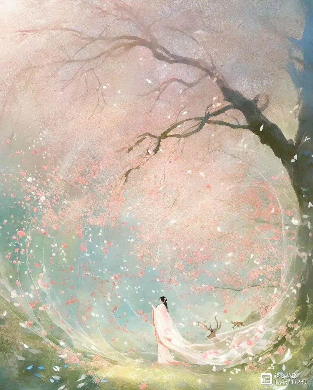 一首唯美的梅花词，真情动人，抚慰世人1000多年