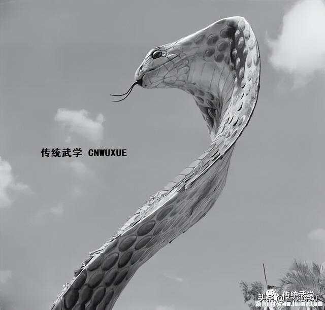 撑筋拔骨论
