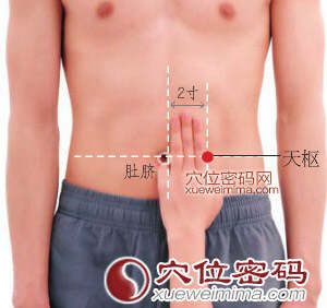 天枢穴的准确位置图