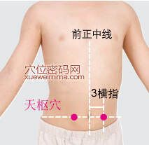 天枢穴的准确位置图