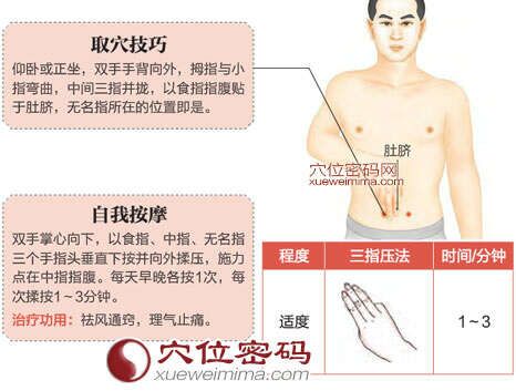 天枢穴的准确位置图