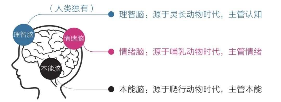 《认知觉醒》阅读笔记 （附思维导图）