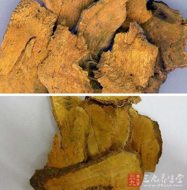 中医推荐10款中药降血脂