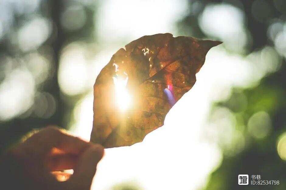 《清单人生》：人生永远没有太晚的开始，你会活成什么样，都在你...