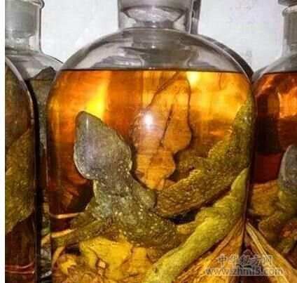 补肾壮阳的中药方子 6大状腰健肾中药偏方