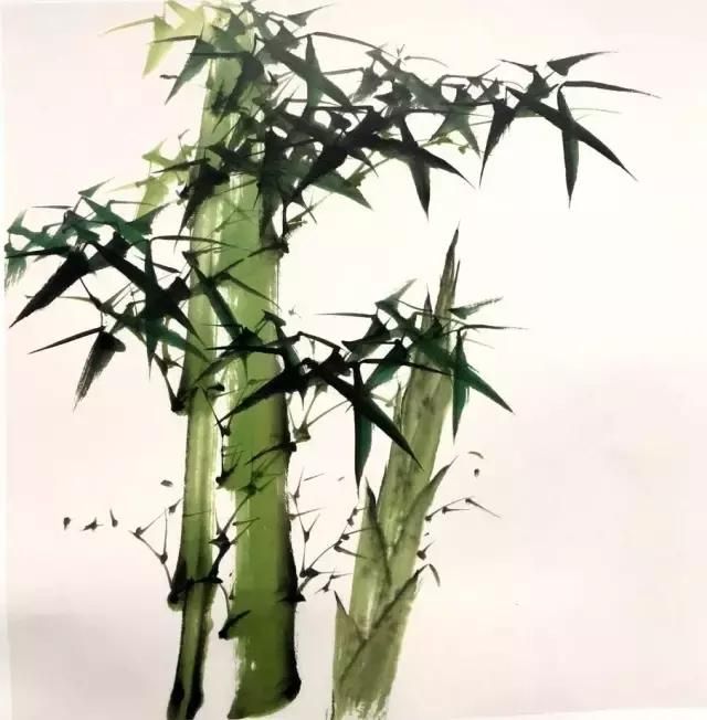 国画竹子的绘画技法，详细实用！点赞收藏