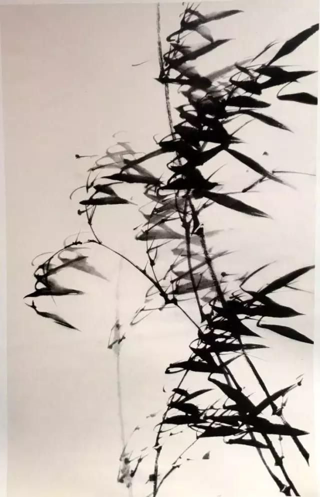 国画竹子的绘画技法，详细实用！点赞收藏