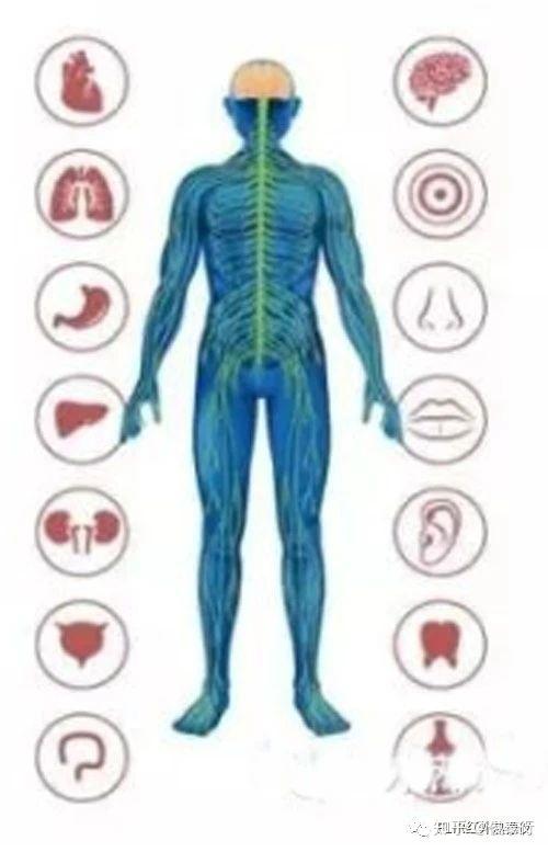 红外热成像可以看病？很神奇！了解一下医疗诊断应用