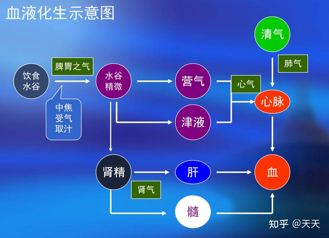 胃强脾弱VS脾强胃弱的区别