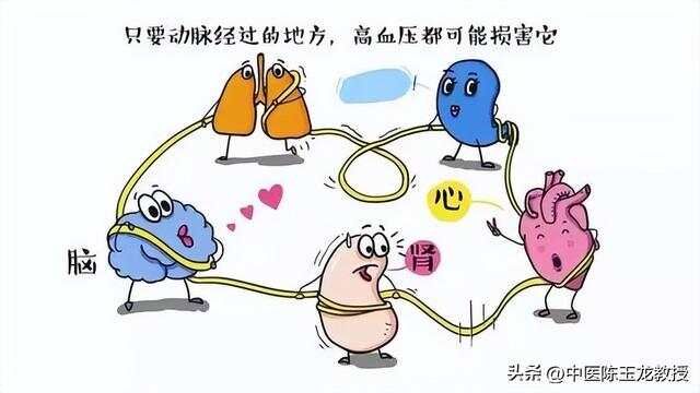 高血压一辈子离不开降压药老中医揭秘 部分高血压可调可控可逆转