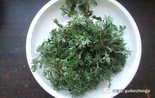 吃黄疸的药_黄疸吃药对宝宝有什么影响_黄疸吃什么药