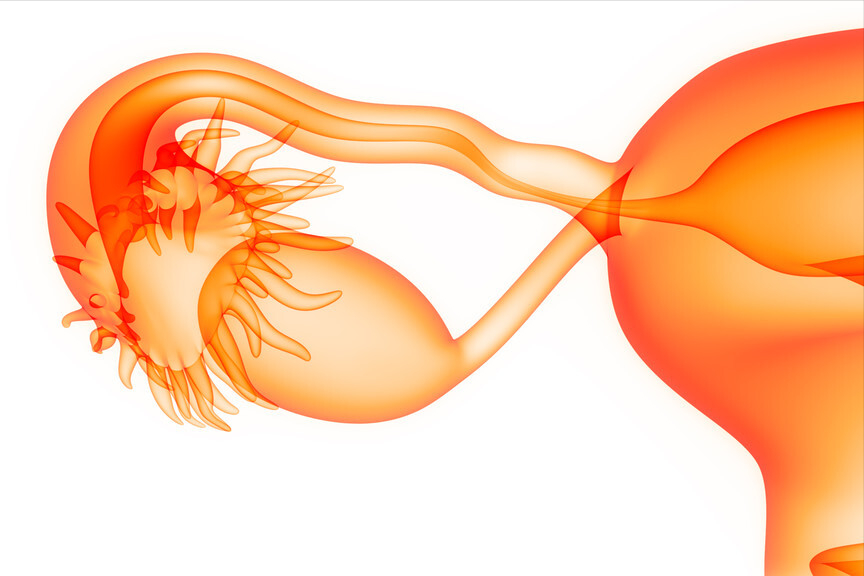 卵巢为什么会长囊肿？囊肿会癌变吗？6个问题一次说清