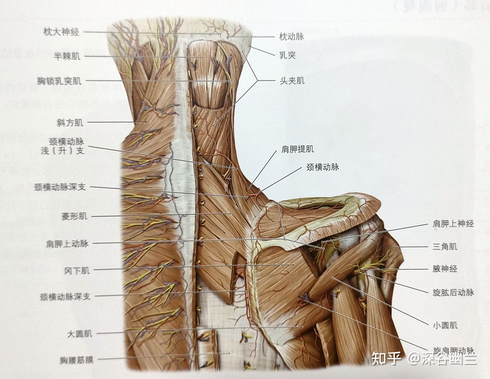 颈椎病很严重怎么办？