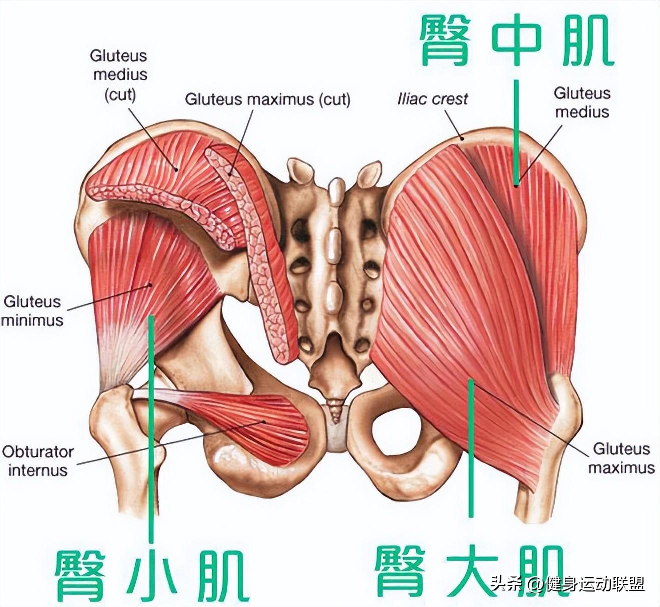 女人身材好不好，臀型占一半，5种常见臀型，哪种更性感？