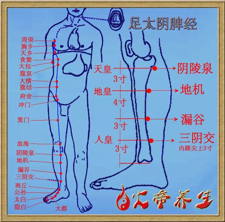 _倪海厦讲黄帝内经80集典藏版_倪海厦黄帝内经讲解文字版