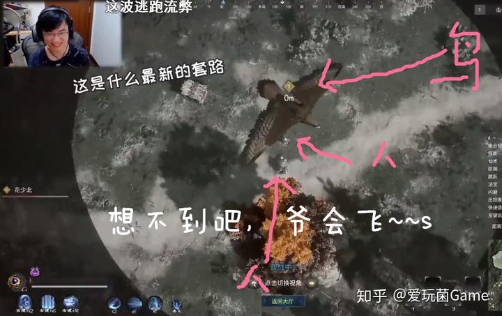 鸡吃游戏怎么穿透石头_鸡吃米游戏_吃鸡的游戏