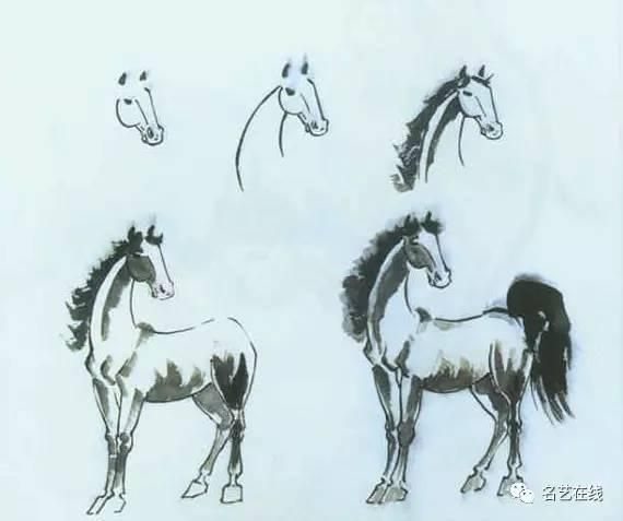 75种动物写生画法（上）