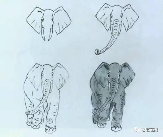 75种动物写生画法（上）