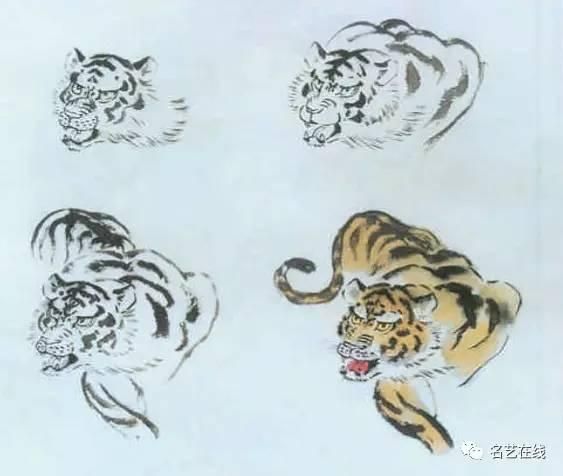 75种动物写生画法（上）