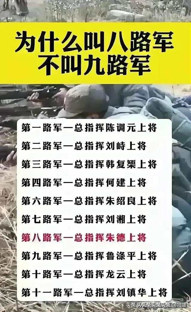 蔬菜的营养，有人整理出来了，太实用了，收藏起来看看。