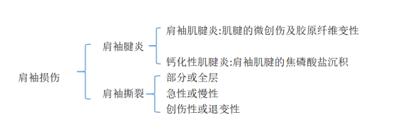 肩袖损伤的MRI诊断思路