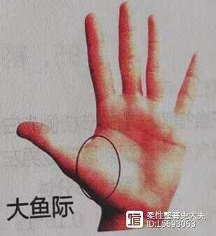 临床特效三针（五）