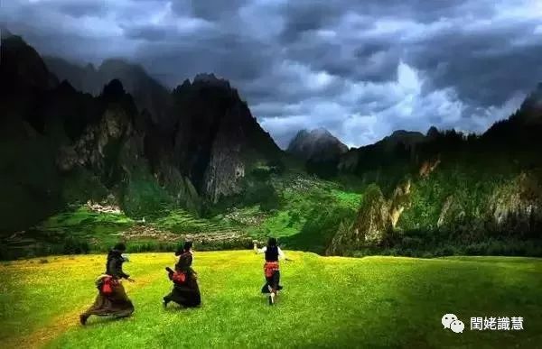 越婢汤.防己茯苓汤