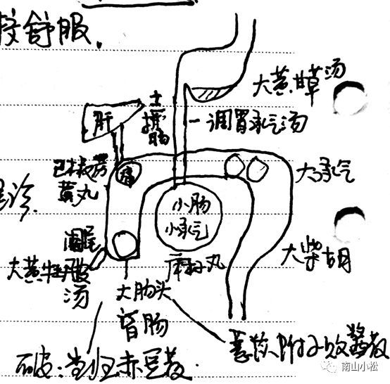伤寒论40：大黄甘草汤、调胃承气汤、小承气、大承气、大黄牡丹皮...
