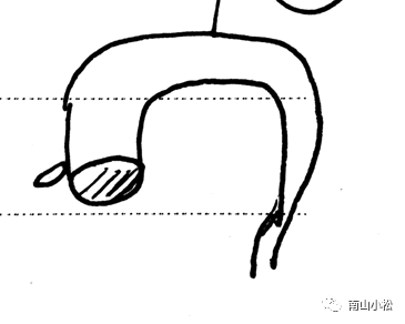 伤寒论40：大黄甘草汤、调胃承气汤、小承气、大承气、大黄牡丹皮...