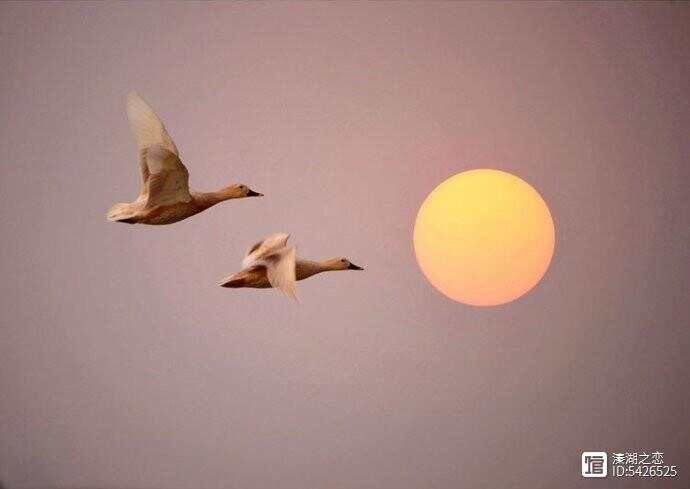 养生---就是培养健康的生活习惯