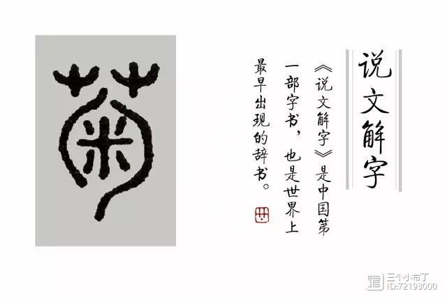 《说文解字》第43课：“鲜鲜霜中菊”，吴昌硕为何刻成“鞠”