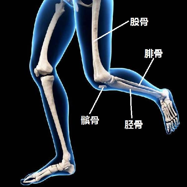 造成膝关节疼痛的3大原因，和11个最好的膝关节保护动作！