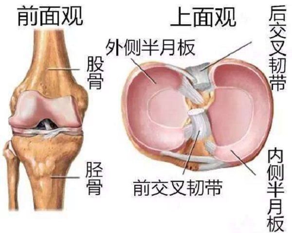 造成膝关节疼痛的3大原因，和11个最好的膝关节保护动作！