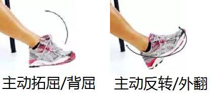 造成膝关节疼痛的3大原因，和11个最好的膝关节保护动作！