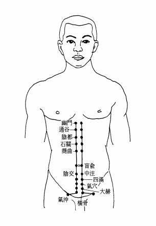 冲脉：经络循行图、穴位图、用药及主治疾病 冲脉经络图