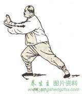 杨式太极拳图解(85式***)(1~14)