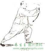 杨式太极拳图解(85式***)(1~14)