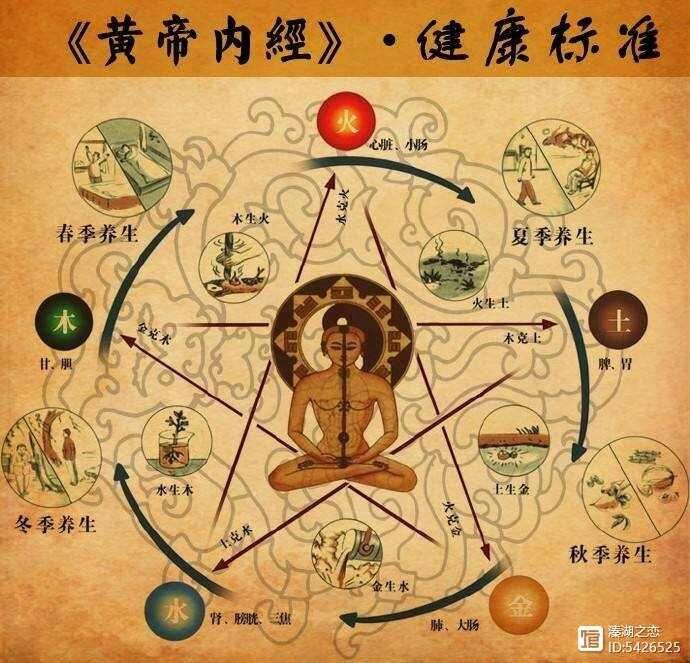浅议“延缓衰老”