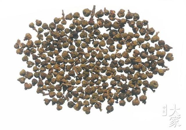 匠心独运：鼻吸外敷巧用吴茱萸治诸痛